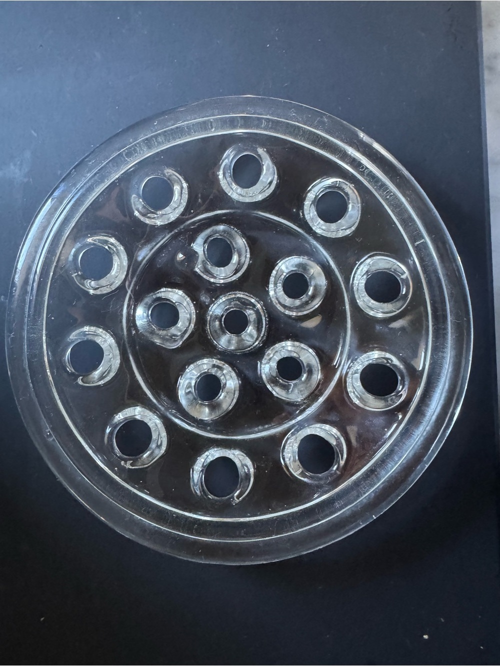 Vintage 16-Hole Clear Glass Flower Frog